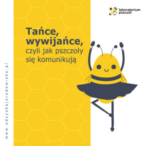 Laboratorium Pszczół – czy pszczoły tańczą?