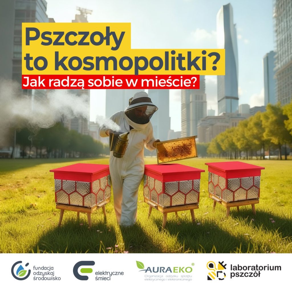 Pszczoły to kosmopolitki