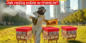 Pszczoły to kosmopolitki