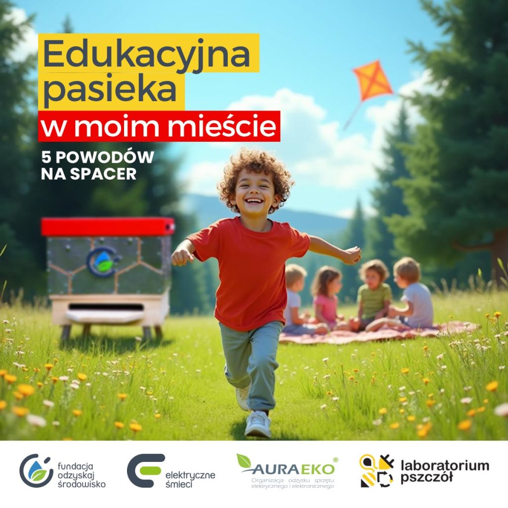 Edukacyjna pasieka z recyklingu – 5 powodów na spacer