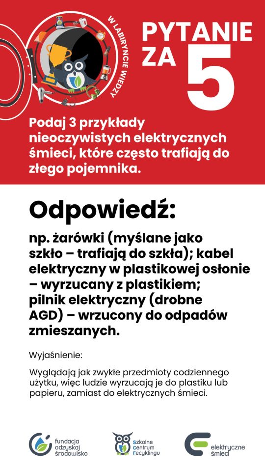 W labiryncie wiedzy -odpowiedzi za 5 pkt (3)